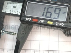 Vít gỗ đầu dù nổi 4x15