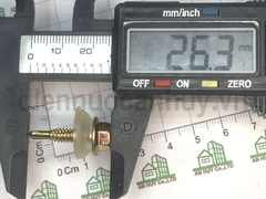 Vít bắn tôn chống rột 2.5P (0.9kg/ túi)