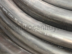 cáp điện trần phú CXV 3x25+1x16