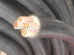 cáp điện trần phú CXV 3x25+1x16