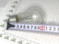 Bóng đèn tròn sợi đốt 60W Điện Quang