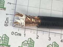 cadivi chống nhiễu DVV/Sc-2x1.5