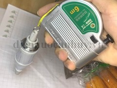 Quả dọi 500g Berry 52003050 (8 cái/hộp)