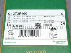 Át khối MCCB Schneider GOMCCB 125T 3P3D FIX10 KA 100A - G12T3F100