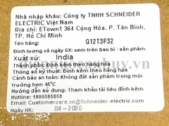 Át tô mát khối MCCB Schneider GOMCCB 125T 3P3D 32A FIX10 KA - G12T3F32