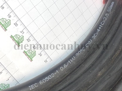 dây cáp điện trần phú CXV 3x4+1x2.5