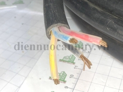 dây cáp điện trần phú CXV 3x4+1x2.5