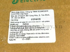 Át khối MCCB Schneider 3 pha 4 cực 125A 30 kA sản xuất tại ấn độ G12F4A125 loại có điều chỉnh