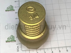 Rọ đồng Double-lin ống DN20 ren 3/4inch (25mm)