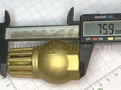 Rọ bơm đồng MIHA ống DN25 ren 1 inch (32mm)