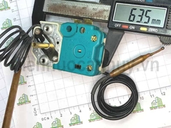 Rơ le xanh bình nóng lạnh Rossi BBSB0001 loại 2 đầu