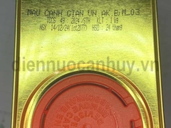 Sơn bóng gỗ Vecny Đại Bàng mầu cánh dán 1kg