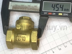 Van lá 1 chiều đồng MBV PN10 ống DN20 ren 3/4 inch (25mm)