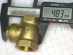 Van lá 1 chiều đồng MBV PN10 ống DN20 ren 3/4 inch (25mm)