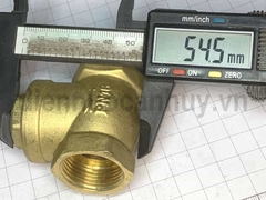 Van lá 1 chiều đồng MIHA PN16 ống DN20 ren 3/4 inch (25mm)