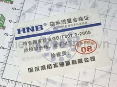 Vòng bi 6307-2RS HNB nắp nhựa