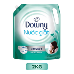 Nước giặt Downy 2 trong 1 Khử Mùi Ẩm Mốc