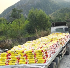 Keo dán gạch SUPPER DRAGON