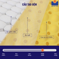 Đệm cao su 100% thiên nhiên CS01 Đệm Việt Pháp