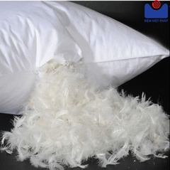 Ruột gối lông vũ 100% R05 Đệm Việt Pháp