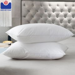 Ruột gối lông vũ 100% R05 Đệm Việt Pháp