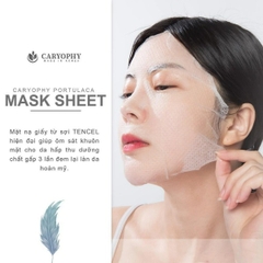 Combo 5 Mặt nạ Hỗ Trợ Giảm Và Ngăn Ngừa mụn Caryophy Portulaca Mask Sheet 3IN1