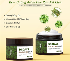 Kem Dưỡng Pretty Skin 30 Days All In One Cream - Cica