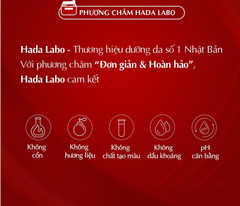 Sữa Rửa Mặt HADA LABO Pro Anti Aging Chống Lão Hóa 80g