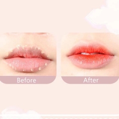 Che Khuyết Điểm 2 Đầu Gogo Tales Moisturizing Traceless Concealer Special Fish