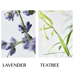 Sữa Tắm Happy Bath Flower Therapy Lavender & Tea Tree Body Wash No.125 900ml