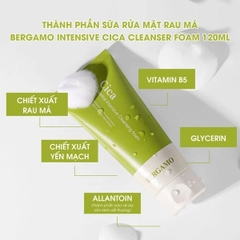 Sữa Rửa Mặt Bergamo Cica Intensive Cleanser Foam 120ml - XANH LÁ