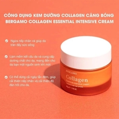 Kem Dưỡng Bergamo Collagen Essential Intensive Cream, Cấp Ẩm, Phục Hồi Da 50g - ĐỎ