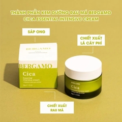 Kem Dưỡng Bergamo Cica Essential Intensive Cream, Cấp Ẩm, Ngăn Ngừa Mụn 50g - XANH LÁ