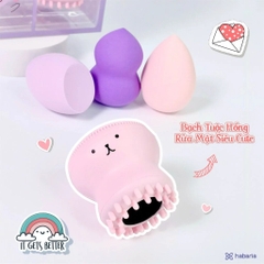 Set bông mút tán nền Habaria 4 món gồm 3 mút 1 cọ rửa mặt bạch tuộc