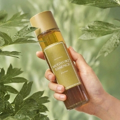 [I'M FORM] MINISE TINH CHẤT Mugwort Essence 30ml -  NGẢI CỨU
