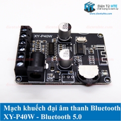 Mạch Khuếch đại âm thanh Bluetooth 5.0 XY-P40W