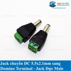 Jack nguồn DC 5.5x2.1mm - DOMINO 2P