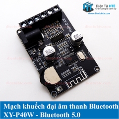 Mạch Khuếch đại âm thanh Bluetooth 5.0 XY-P40W