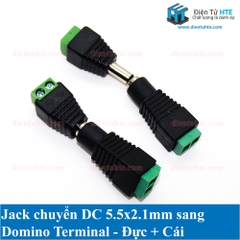 Jack nguồn DC 5.5x2.1mm - DOMINO 2P