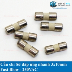 Cầu chì FUSE sứ Ceramic 3x10mm Fast Blow