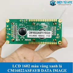 LCD ký tự 1602 nền vàng xanh lá chữ đen CM16022ASFAYB chính hãng DATA IMAGE