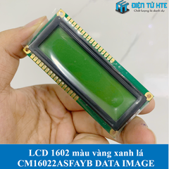 LCD ký tự 1602 nền vàng xanh lá chữ đen CM16022ASFAYB chính hãng DATA IMAGE