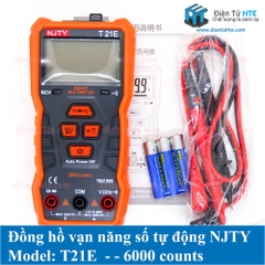 Đồng hồ vạn năng số NJTY T21E