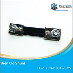 Điện trở SHUNT FL-2 0.5% 100A 75mV