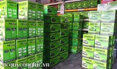 ac-quy-amaron-chinh-hang