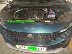 ac-quy-peugeot-3008