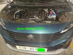 ac-quy-xe-peugeot-2008