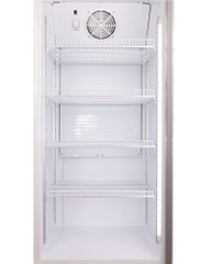 TỦ MÁT DARLING ĐÈN LED 260L DL-2600A