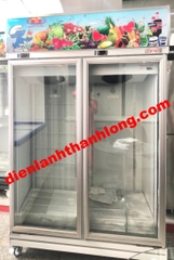 TỦ ĐÔNG MÁT INTERNATIONAL 2D/DCF-SM 918 LÍT