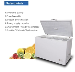 Tủ đông Wespoint WBL-6117